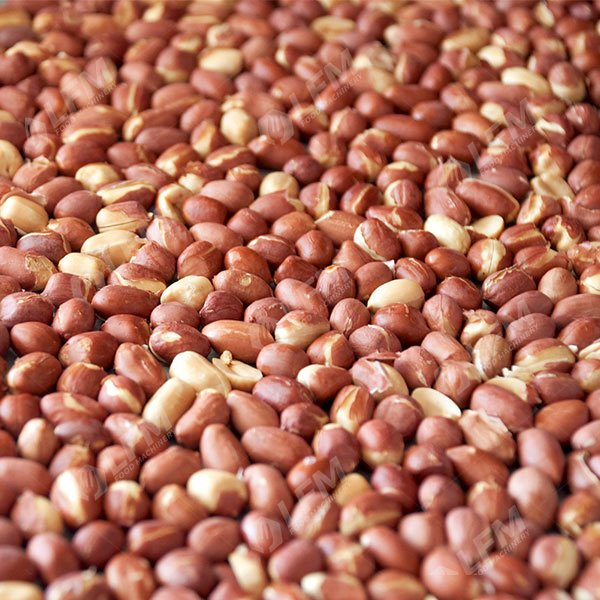 What Is The Manufacturing Process Of Roasted Peanuts? 9 Steps