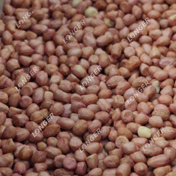 Peanut Roasting Machine Picture