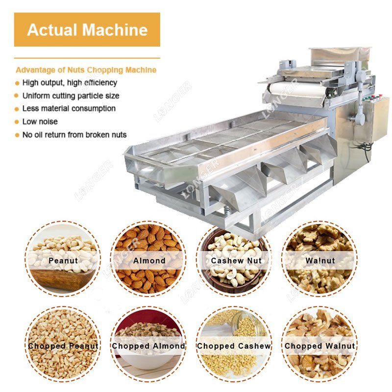 Industrial Peanut Chopping Machine 100 kg/h