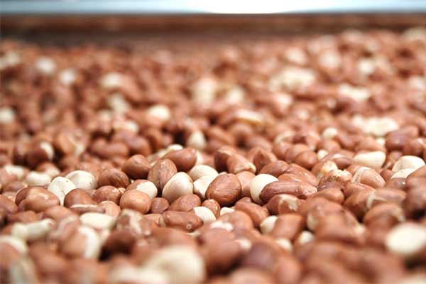 Roasting Peanuts by a Peanut Roaster