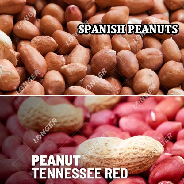 Spanish Peanuts and Tennessee Red