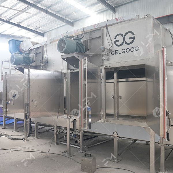 Automatic Peanut Roasting Machine Manufacturer